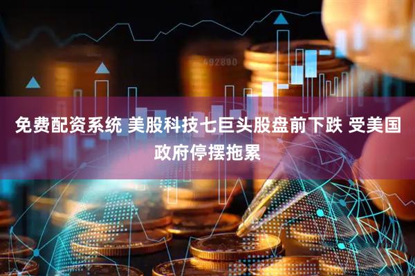 免费配资系统 美股科技七巨头股盘前下跌 受美国政府停摆拖累