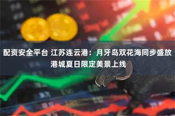 配资安全平台 江苏连云港：月牙岛双花海同步盛放 港城夏日限定美景上线