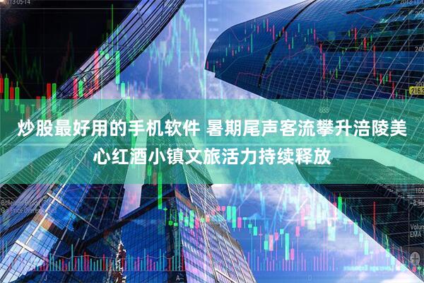 炒股最好用的手机软件 暑期尾声客流攀升涪陵美心红酒小镇文旅活力持续释放